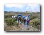 Kili (064) the porters